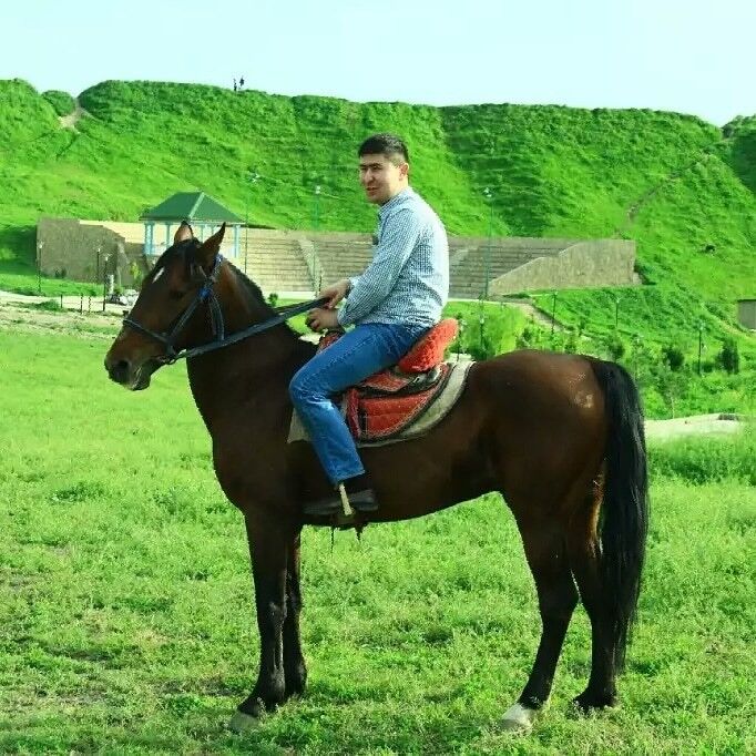 ���������� �������, ���� ������� ����, 33 ����, ������������ ��� ������, ����� � ���������, c�������� ���������