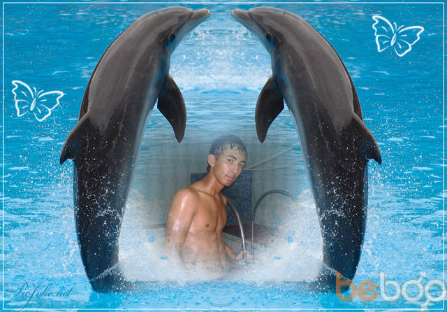 ,   Muxriddin, 33 ,     , c 