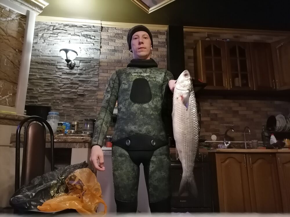 ���� 24770073 ������� ����, 37 ���, ���� ���������� � ����������