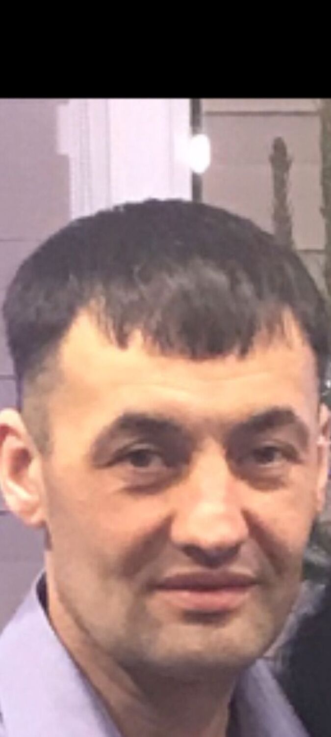 ���� 56267693 ������� Palmar, 47 ���, ���� ���������� � ��������