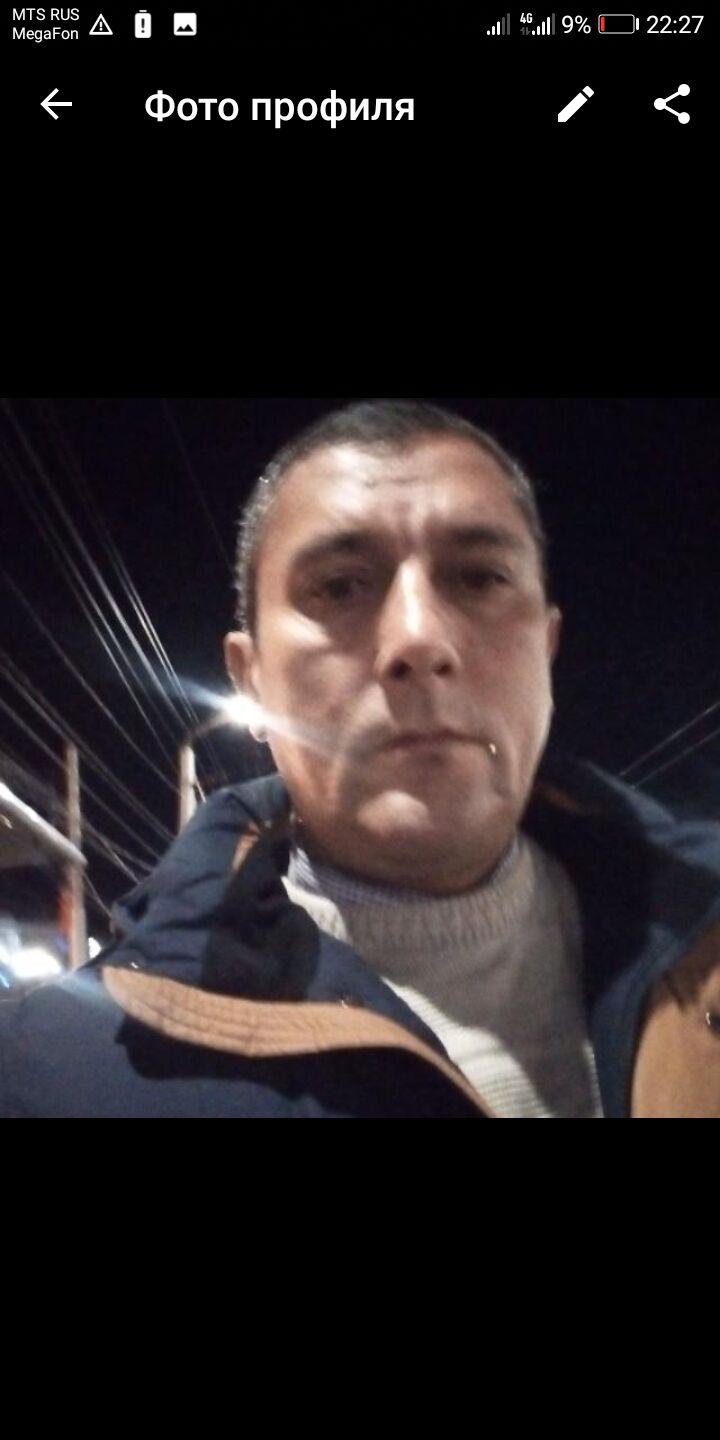  31591063  , 43 ,    