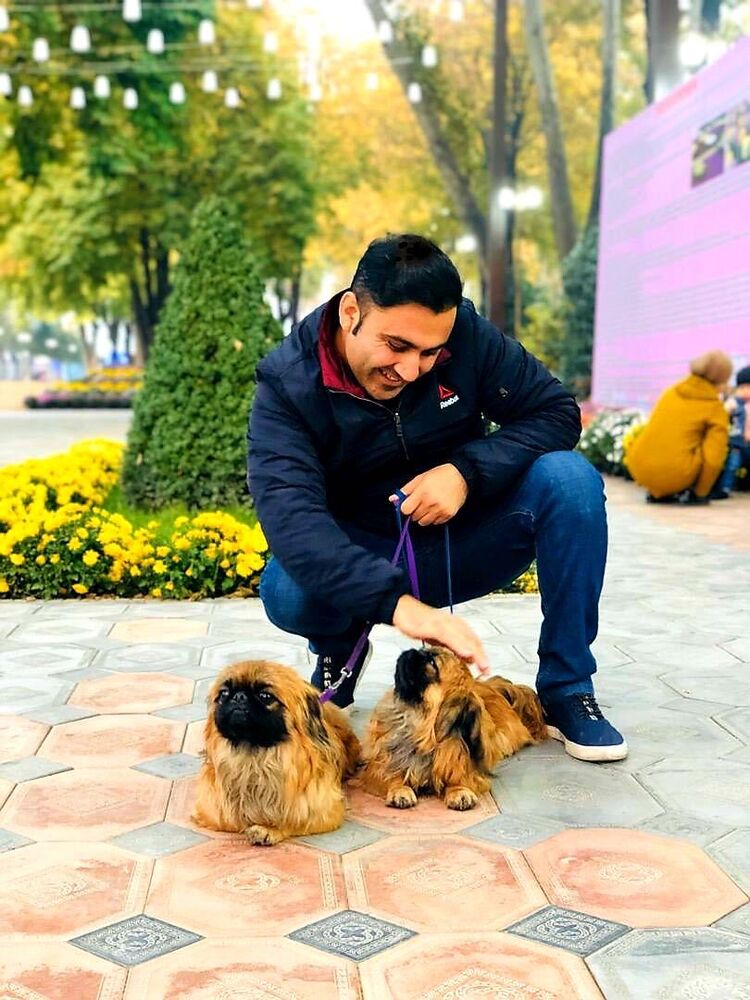  ,   Rock, 35 ,   ,   , c 