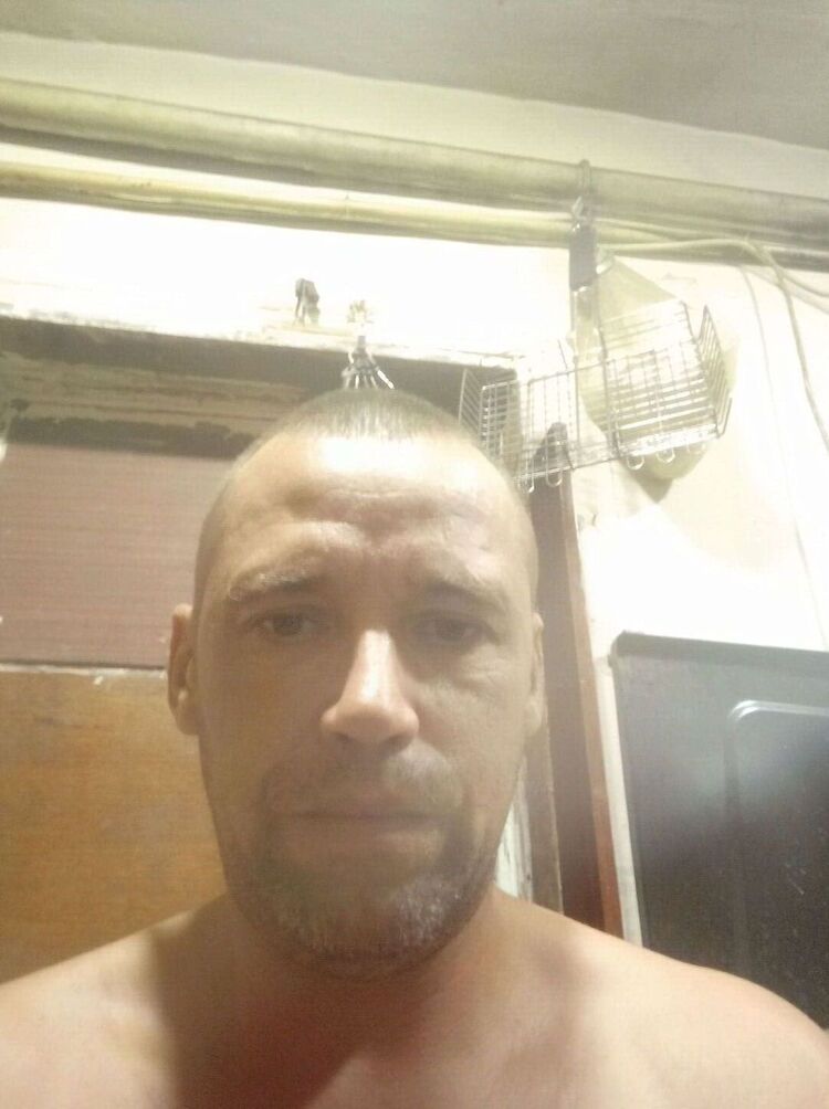  46331623  , 41 ,    