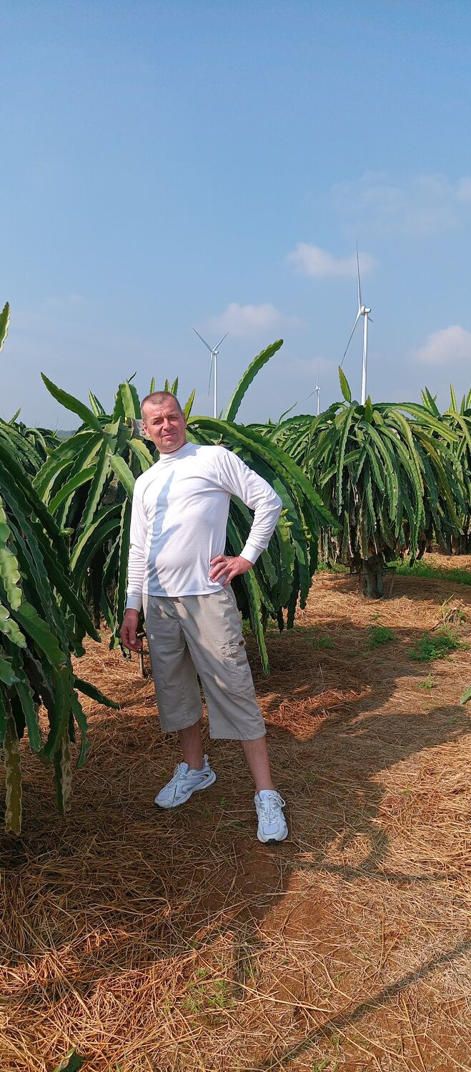 ���� 55957993 ������� ������, 51 ���, ���� ���������� � ������