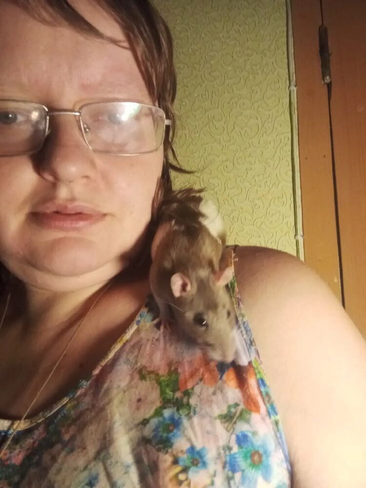  -,   , 37 ,   ,   