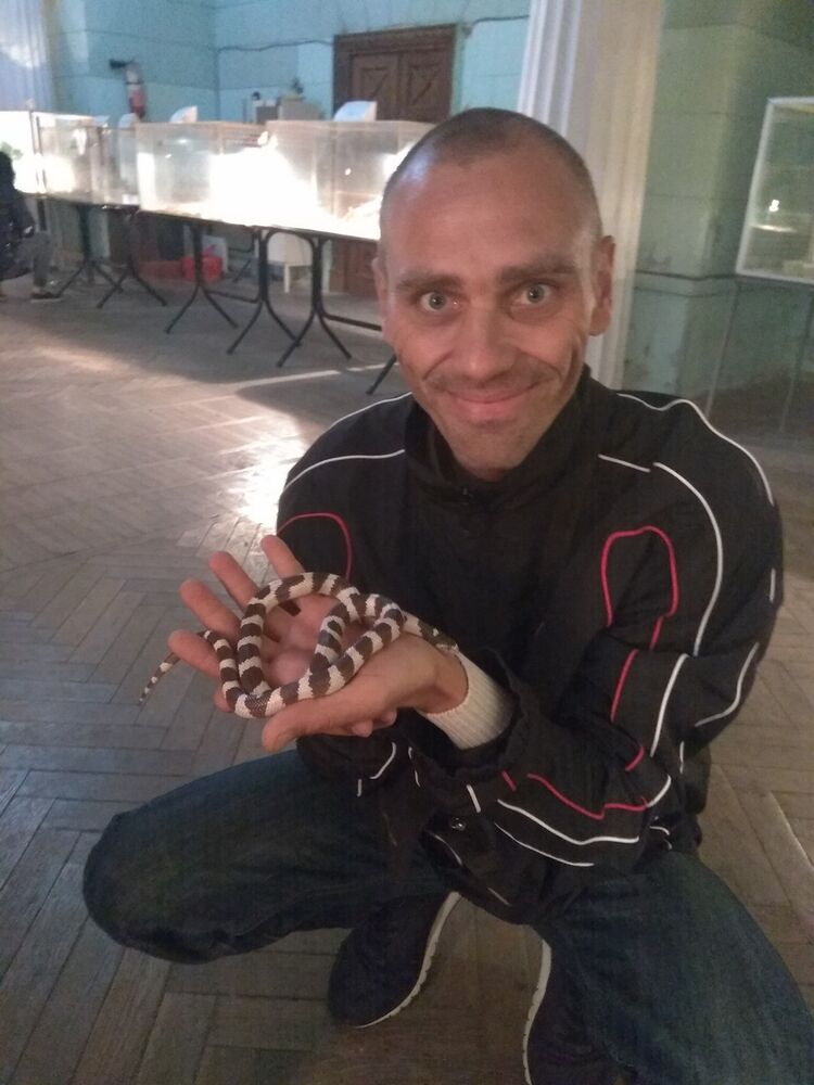 ���������� ������, ���� ������� ����, 45 ���, ������������ ��� ������, ����� � ���������, c�������� ���������