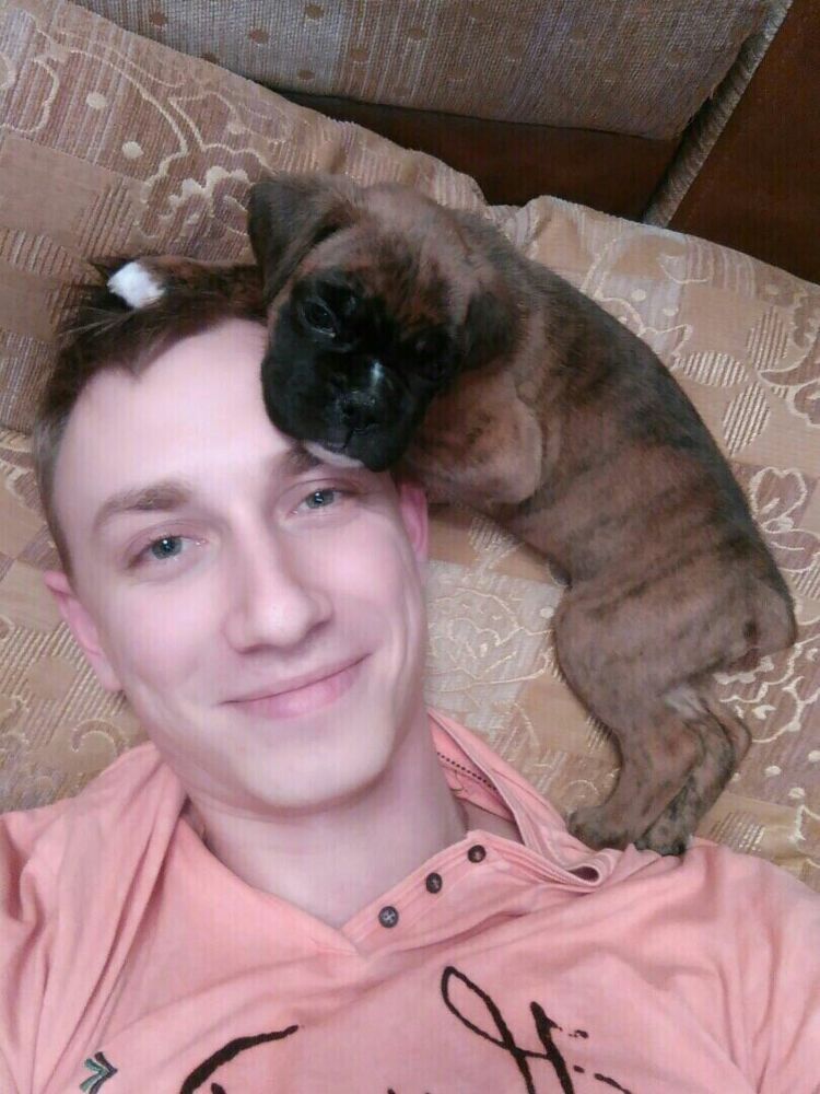 ���� 21627053 ������� �����, 33 ����, ���� ���������� � ������������