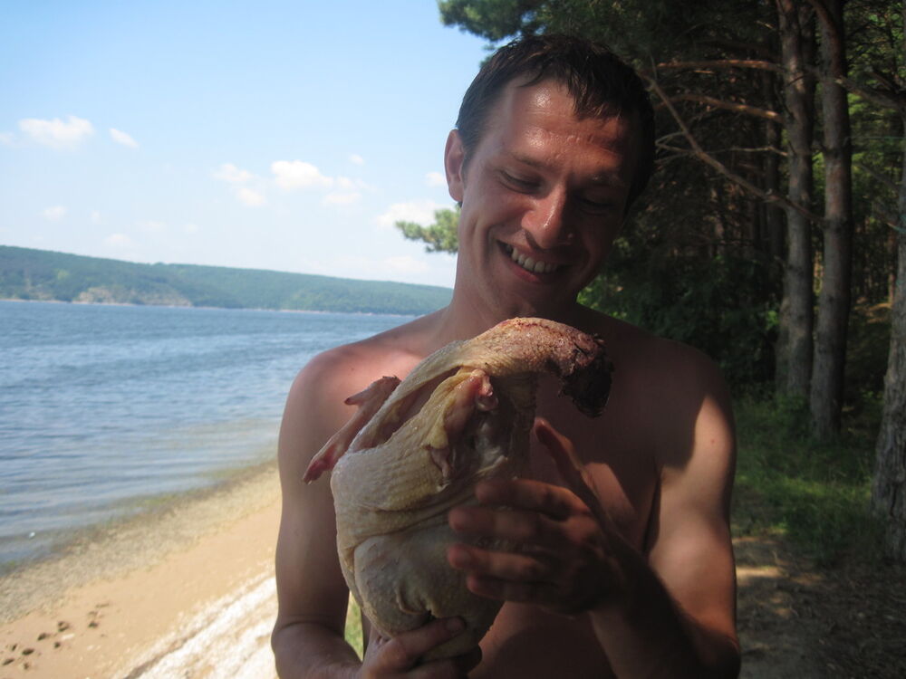 ���������� �����������, ���� ������� ������, 42 ����, ������������ ��� ������, ����� � ���������, c�������� ���������