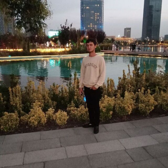  31785333  , 28 ,    