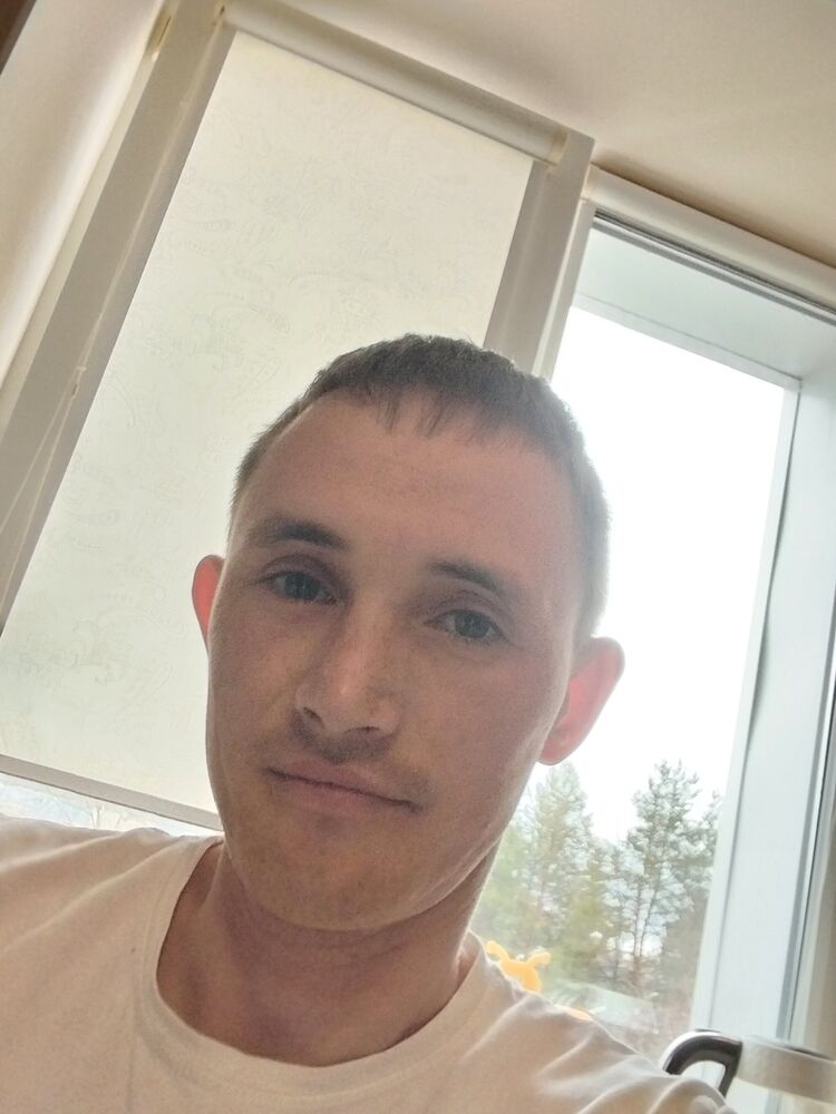  43533253  , 31 ,    