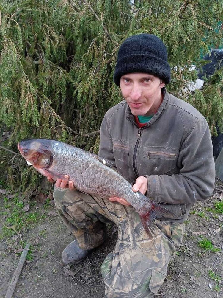 ���� 42889593 ������� ������, 35 ���, ���� ���������� � ����������