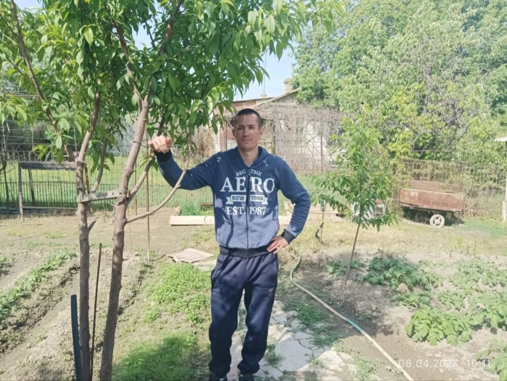 ���� 44483693 ������� ������, 31 ���, ���� ���������� � ��������