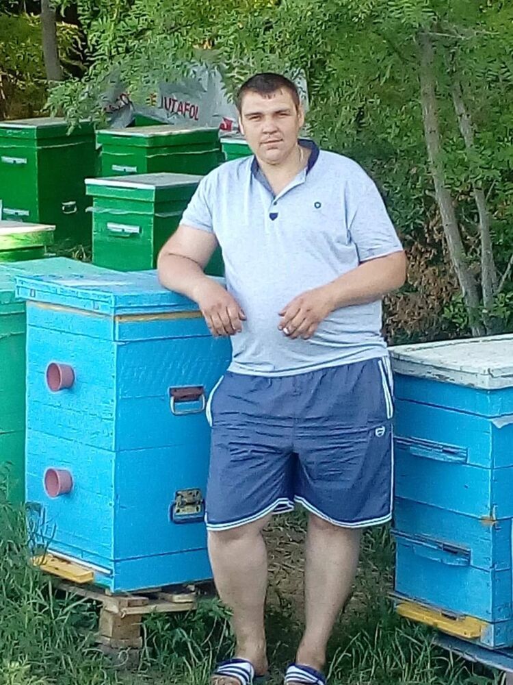  13349873  , 43 ,    --