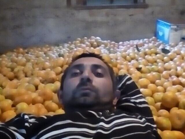 ���������� ����� ����, ���� ������� ��������, 45 ���, ������������ ��� ������, ����� � ���������, ���������