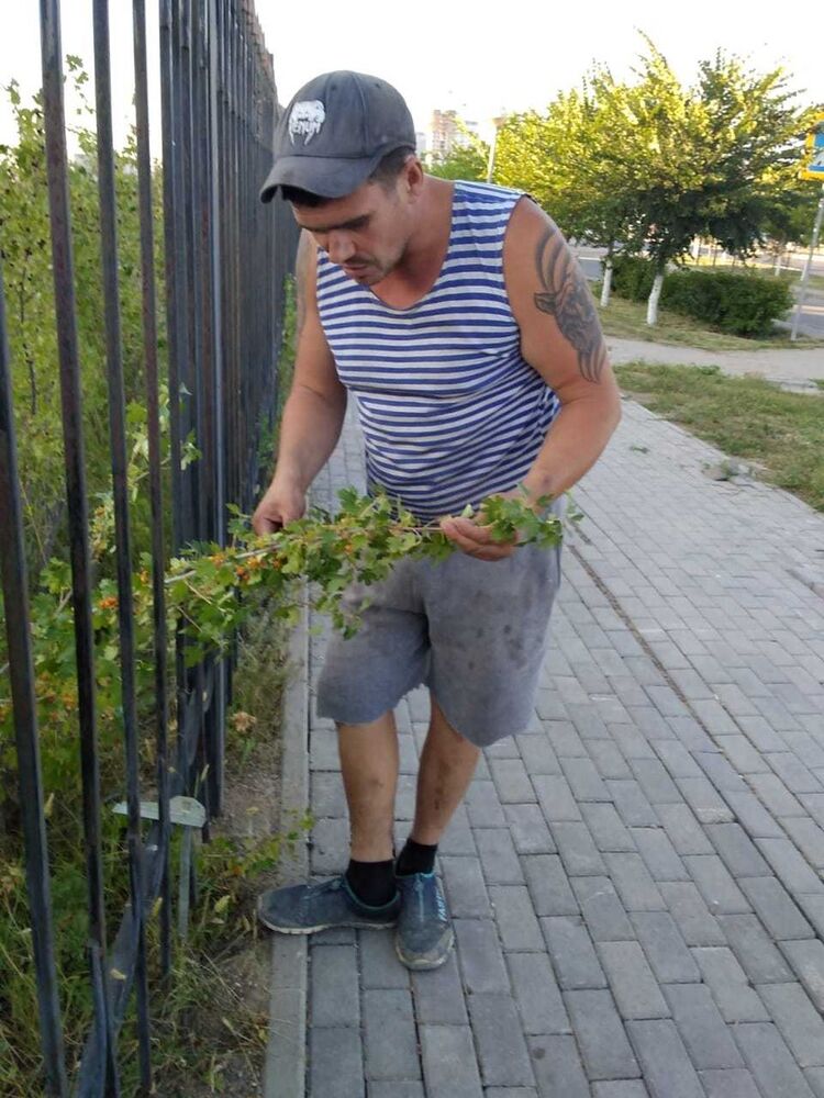 ���������� ������, ���� ������� �����, 44 ����, ������������ ��� ������, ����� � ���������, c�������� ���������