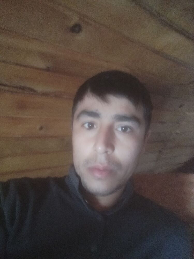  50994033  , 28 ,    