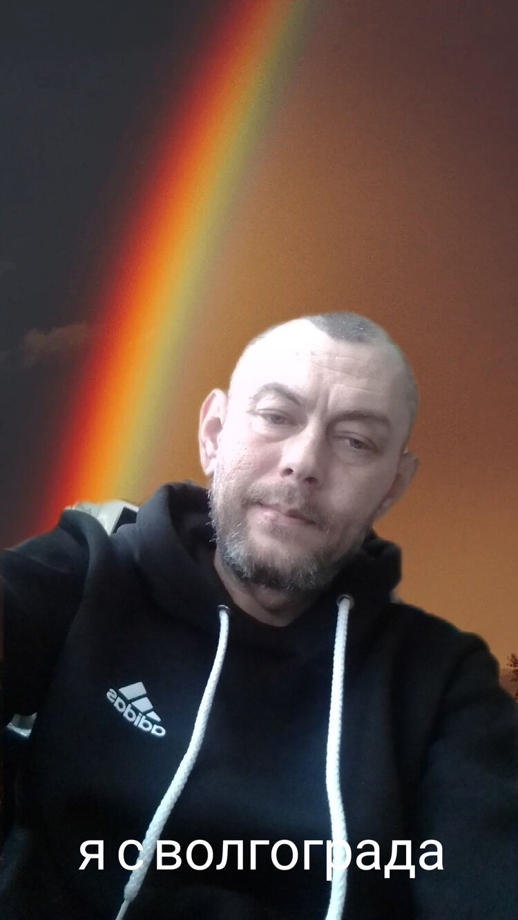 ���� 31991313 ������� �����, 43 ����, ���� ���������� � ����������