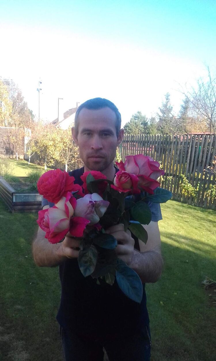 ���� 36281193 ������� ����, 36 ���, ���� ���������� � �������