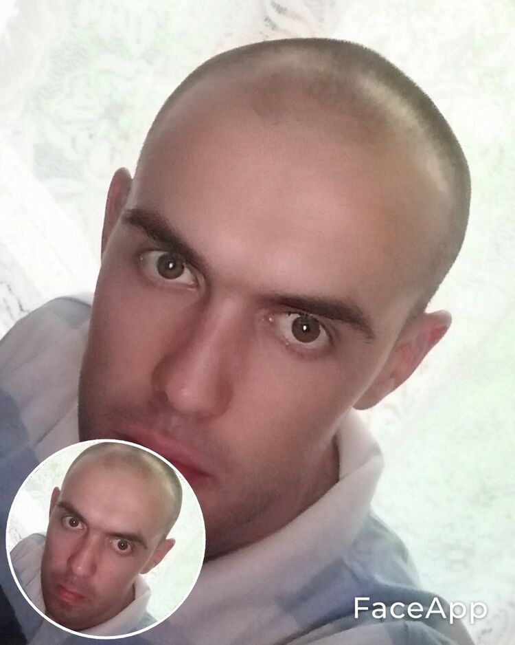 ���� 29379053 ������� ������, 44 ����, ���� ���������� � ������