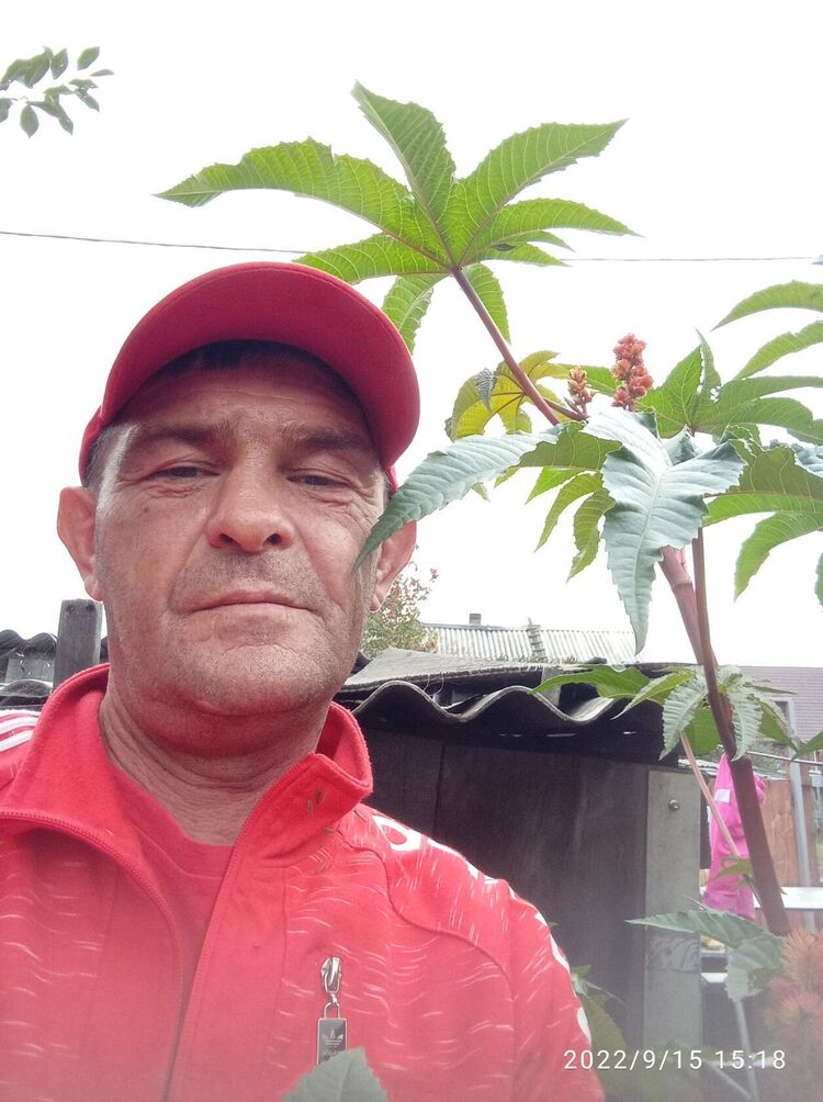  42252843  , 50 ,    
