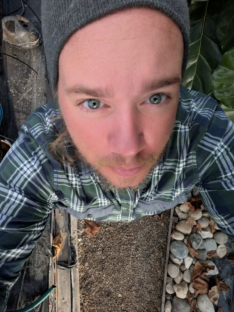 ���������� �������, ���� ������� Nicolas, 37 ���, ������������ ��� ������, ����� � ���������, c�������� ���������, ���������