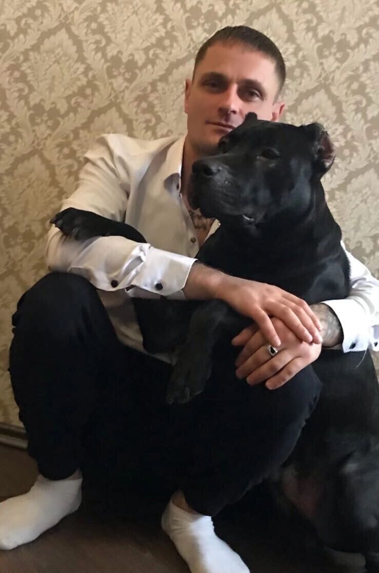 ���� 33395303 ������� �������, 39 ���, ���� ���������� � ������