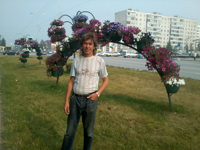  ,   , 53 ,   