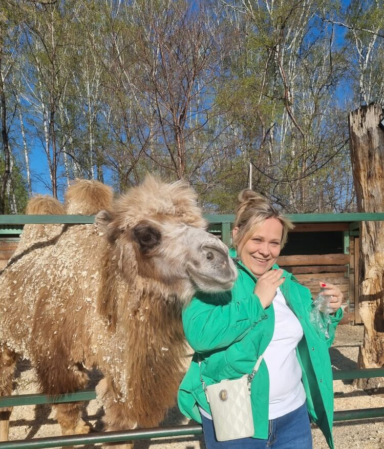 ���� 51464463 ������� ����, 56 ���, ���� ���������� � ������������