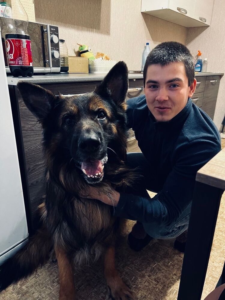 ���� 42828403 ����� Alexander, 24 ����, ���� ���������� � �����������