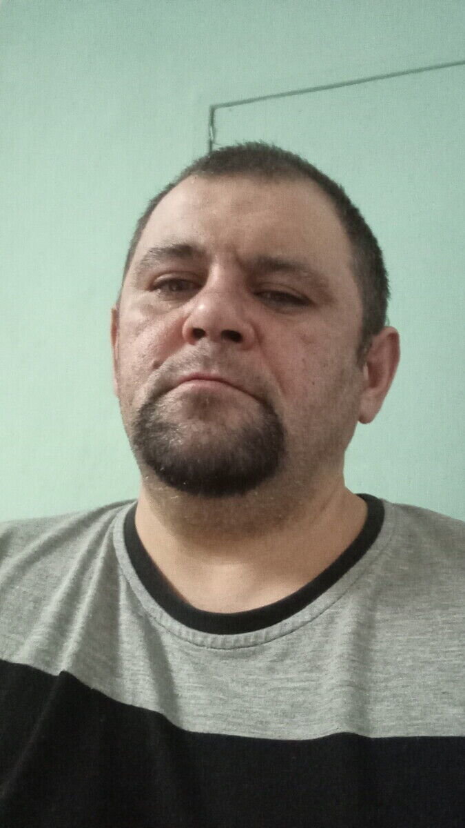  22386253  , 43 ,    