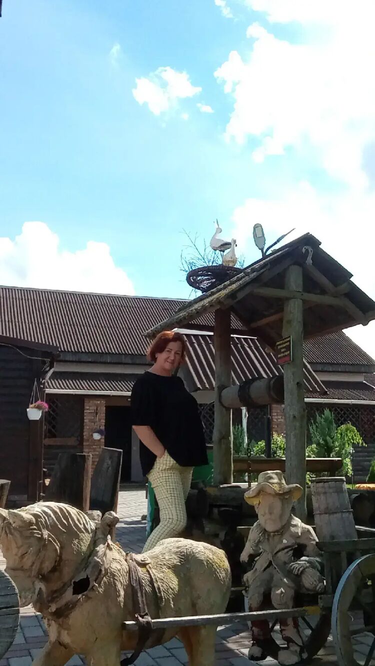  53150523  , 49 ,    