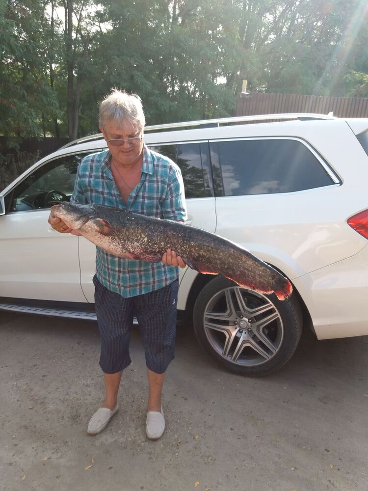  ,   , 55 ,   c 