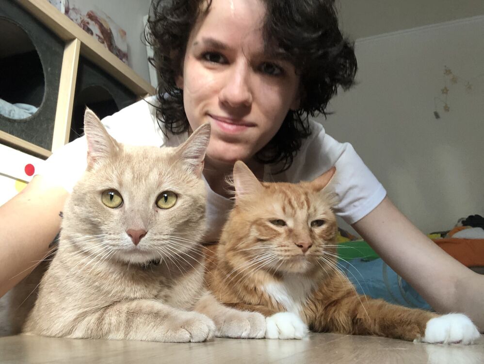 ���������� �����-���������, ���� ������� �����, 27 ���, ������������ ��� c�������� ���������