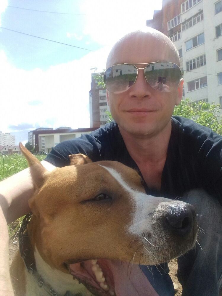  ,   Dinus, 42 ,   
