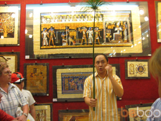 ���� 597593 ������� Vasek 80, 46 ���, ���� ���������� � ������