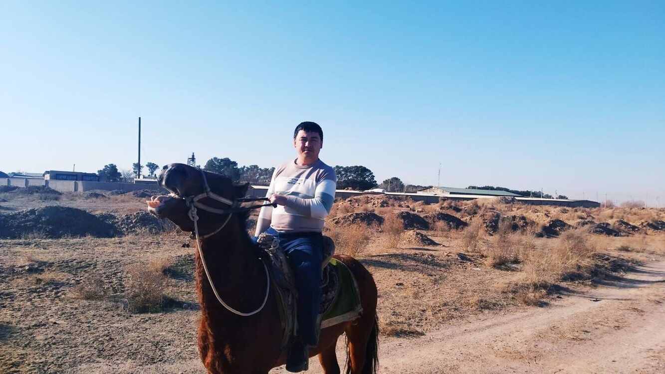 ���������� ������, ���� ������� ����, 39 ���, ������������ ��� ������, ����� � ���������