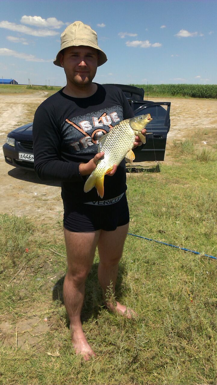  53091023  , 36 ,    
