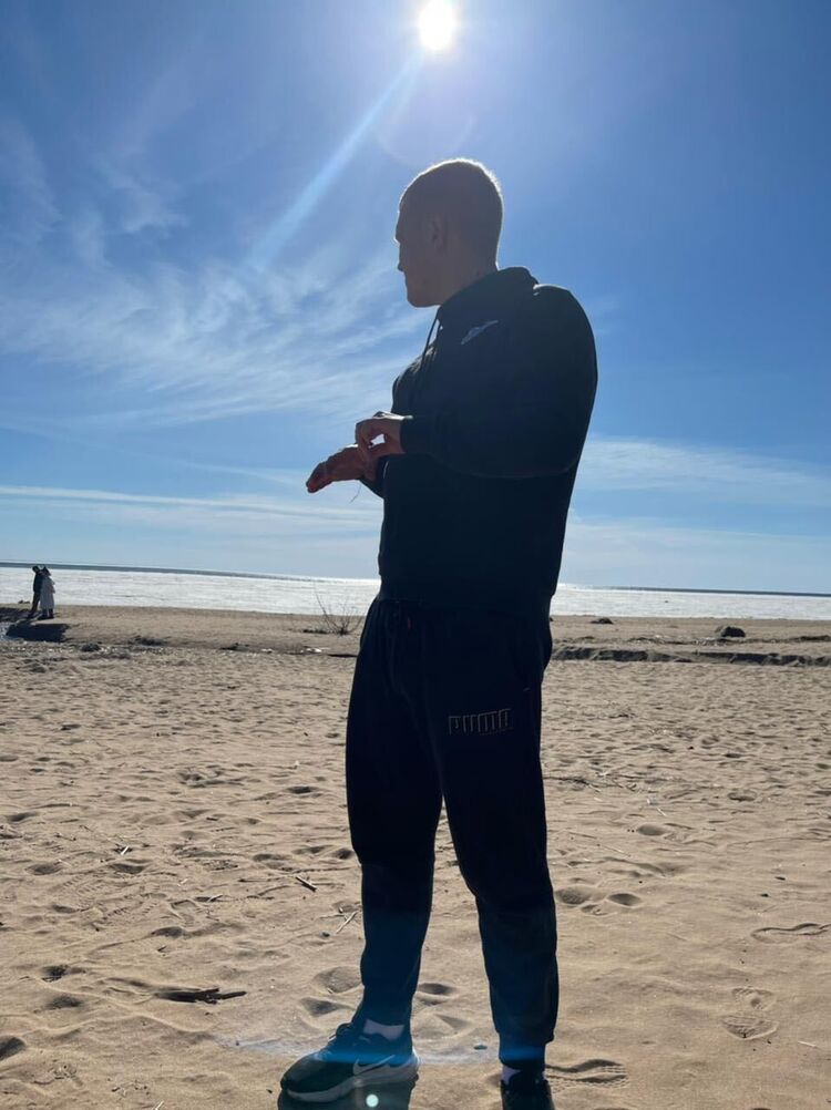  28968483  , 31 ,    -