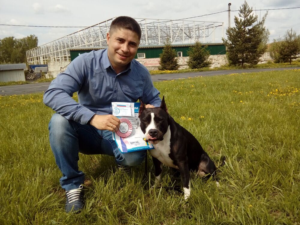 ���������� ������, ���� ������� ����, 39 ���, ������������ ��� c�������� ���������