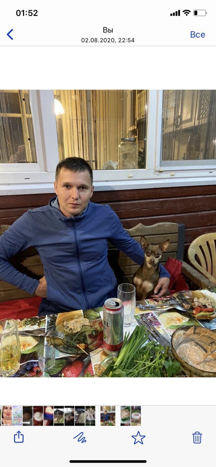 ���� 53377253 ������� ����, 36 ���, ���� ���������� � �����