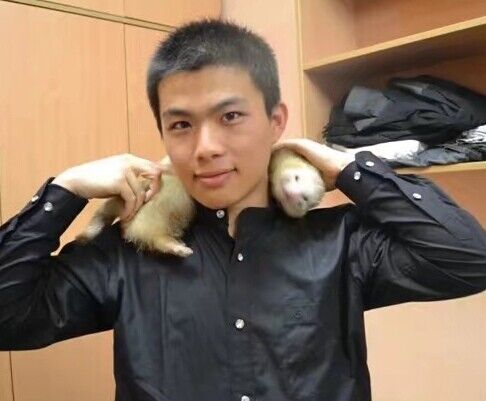  ,   FangZhou, 33 ,   ,   , c 