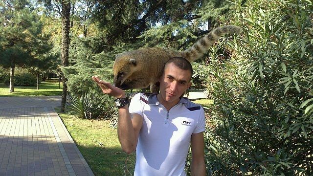 ���������� ����, ���� ������� �������, 37 ���, ������������ ��� ����� � ���������, c�������� ���������