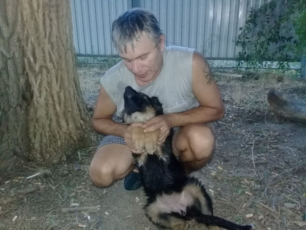 ���������� ������-��-����, ���� ������� ������, 51 ���, ������������ ��� ������, ����� � ���������, c�������� ���������