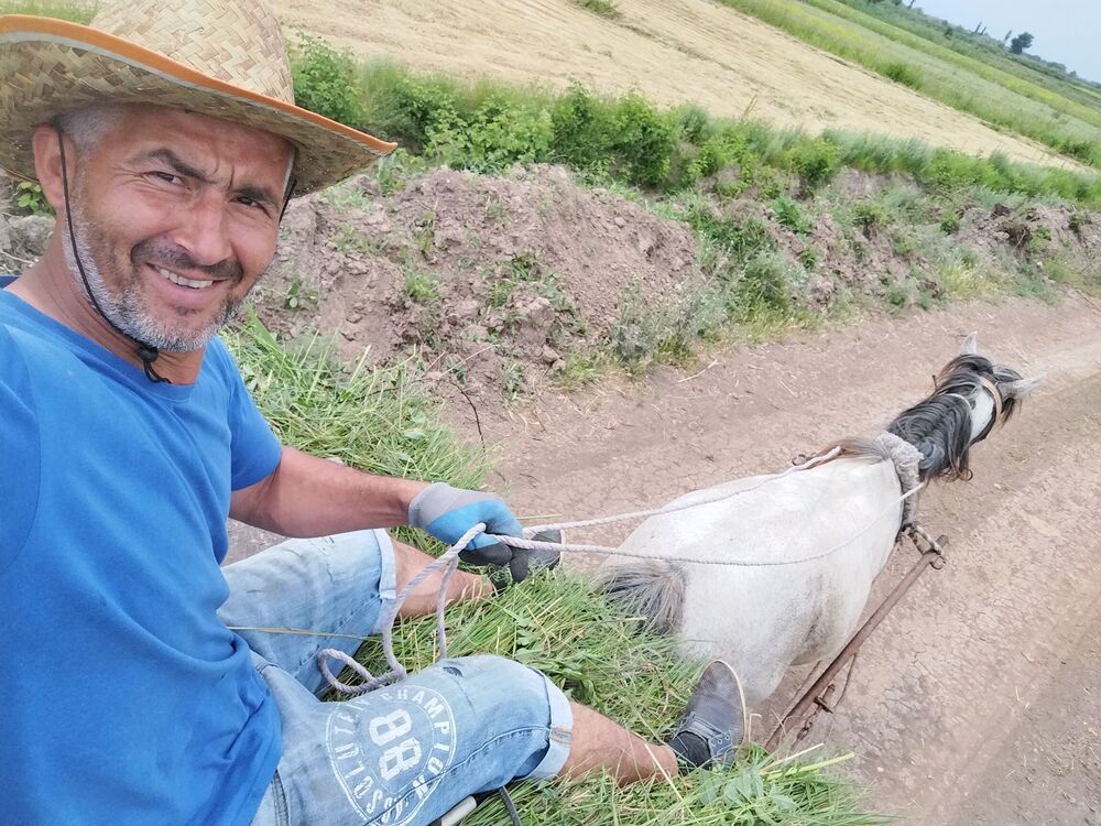 ���������� �����, ���� ������� Aflan, 39 ���, ������������ ��� ������, ����� � ���������, ���������