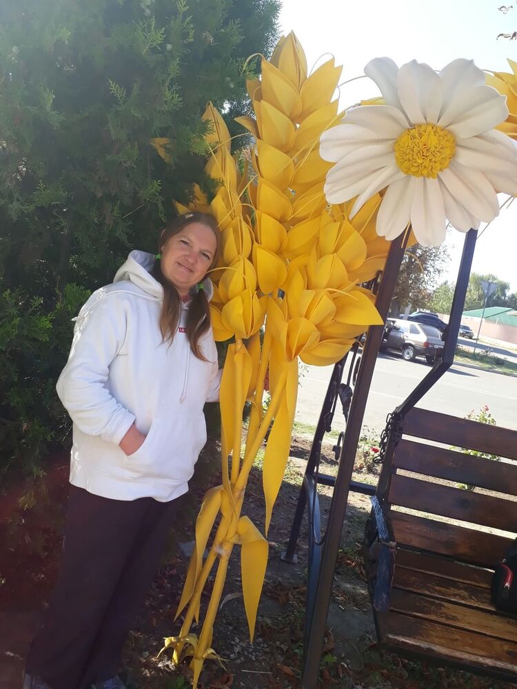 ,   , 43 ,   ,   
