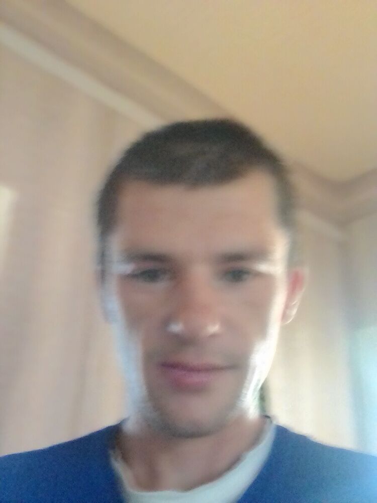  21382553  , 33 ,    