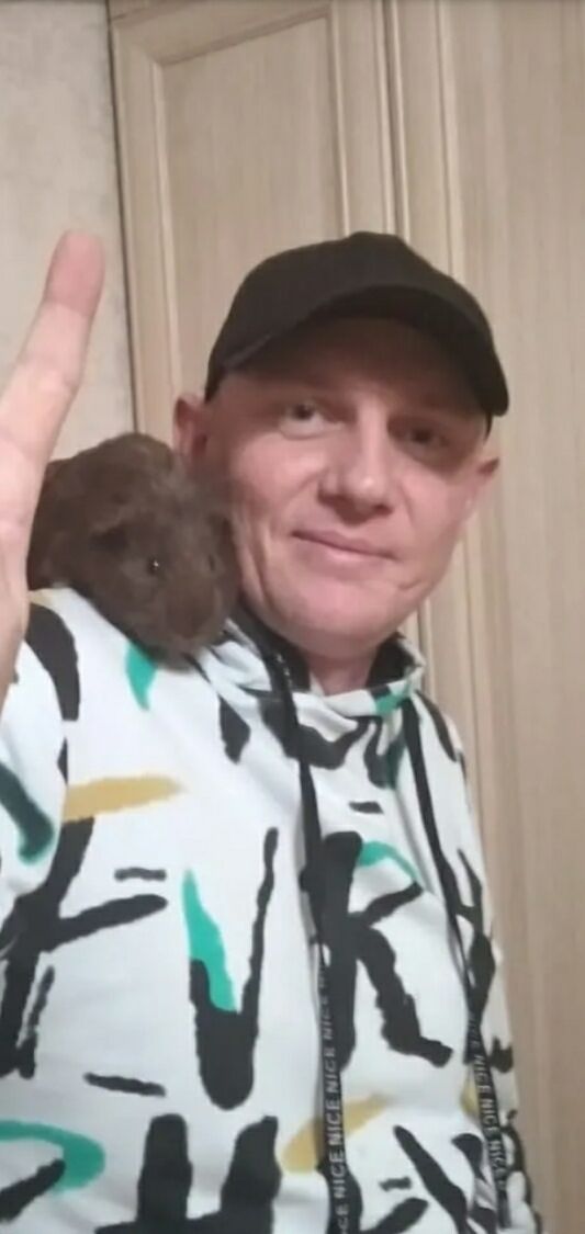 ���� 55310603 ������� ������, 36 ���, ���� ���������� � ��������