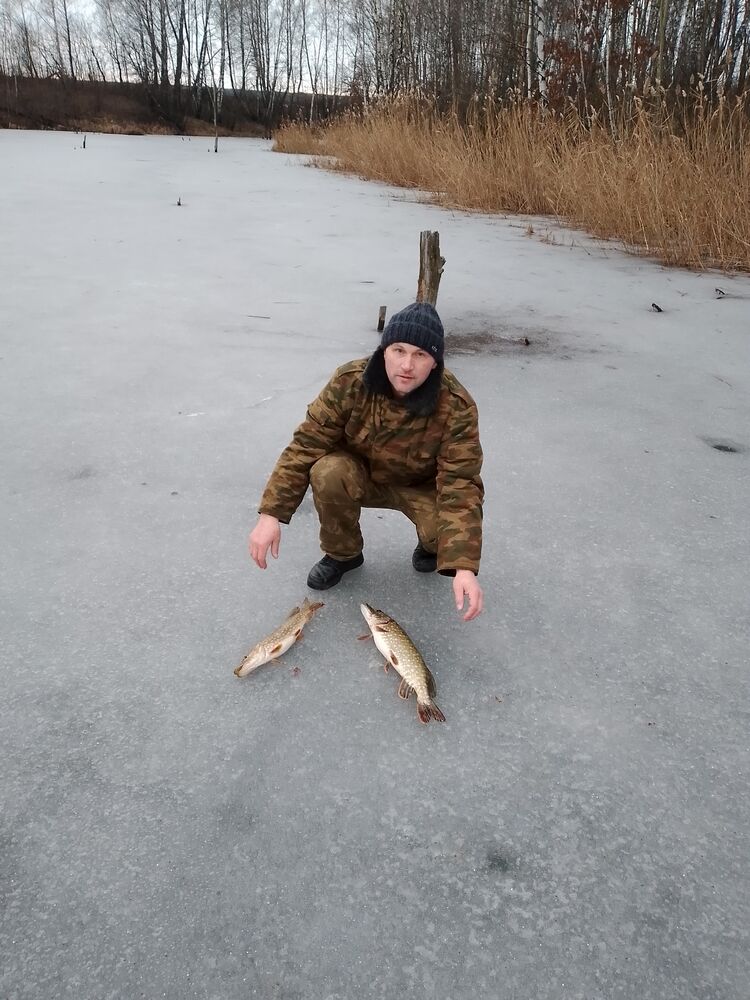 ���������� ������������, ���� ������� �����, 48 ���, ������������ ��� ������, ����� � ���������, c�������� ���������