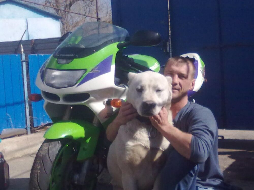 ���� 8573183 ������� �������, 42 ����, ���� ���������� � ����������