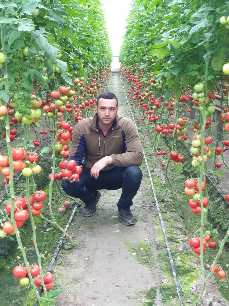 ���� 33827223 ������� �����, 33 ����, ���� ���������� � ������������